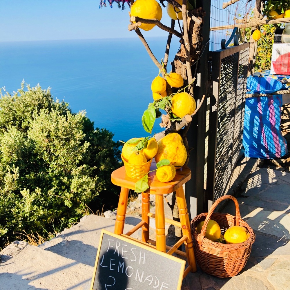 Meet your Posher, Erin